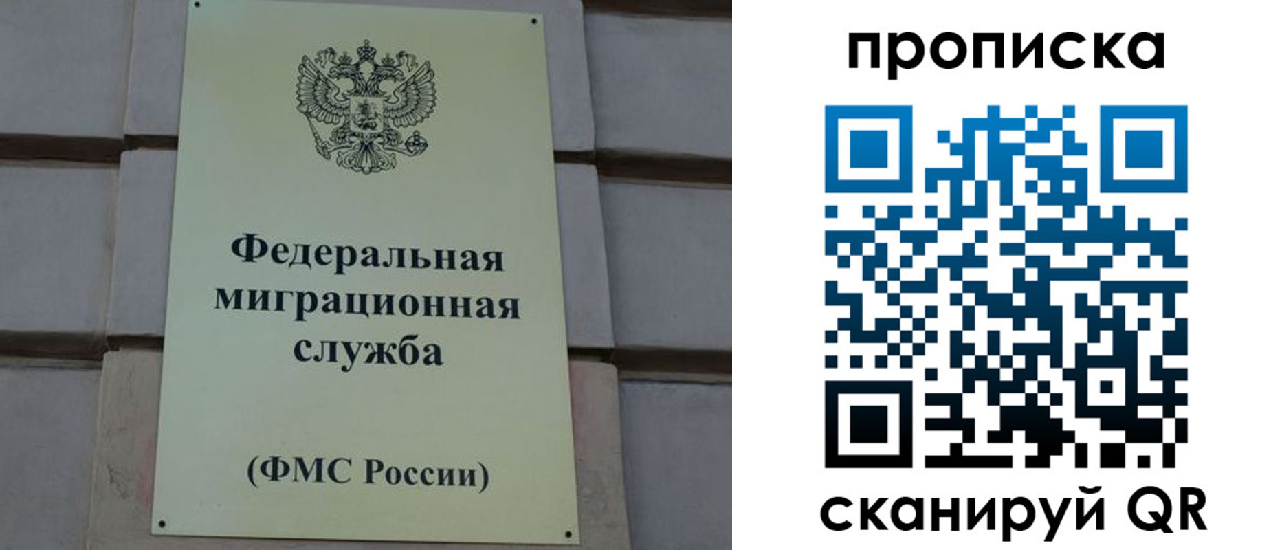 прописка поиск в Камчатском крае